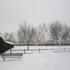 la grande nevicata del febbraio 2012 012